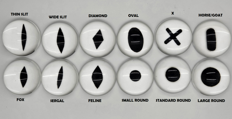 Canine Deluxe Resin Kit