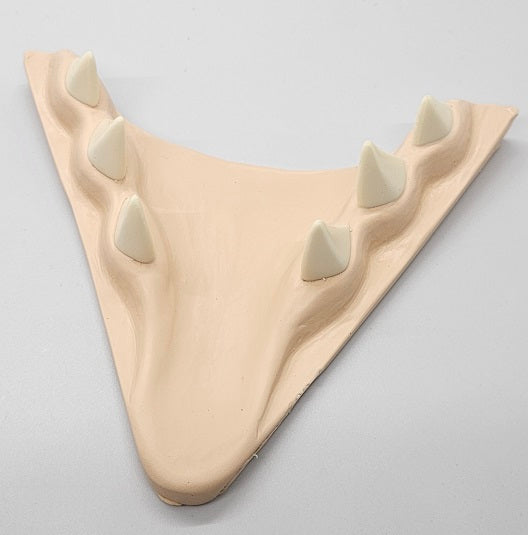 Basic Eastern Sergal Jawset