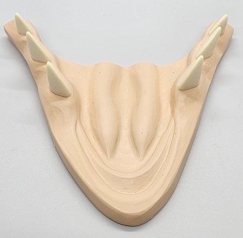 Basic Eastern Sergal Jawset