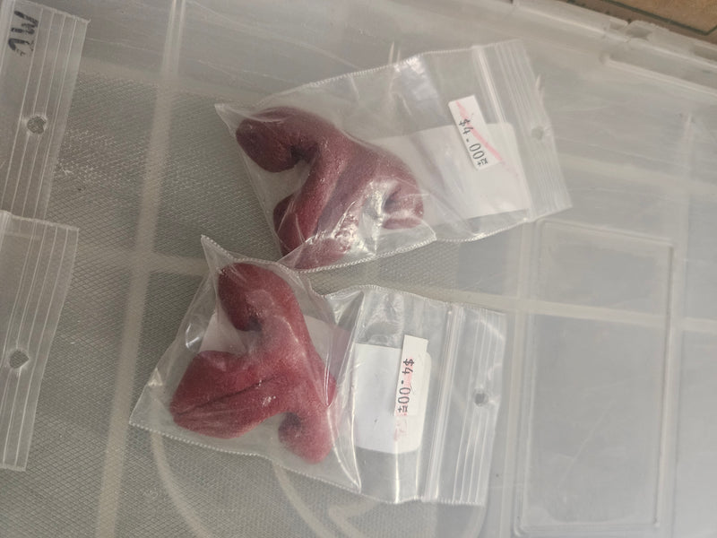 Ready to ship - Heavy Discount Item: Plastic Realistic Medium Feline Nose