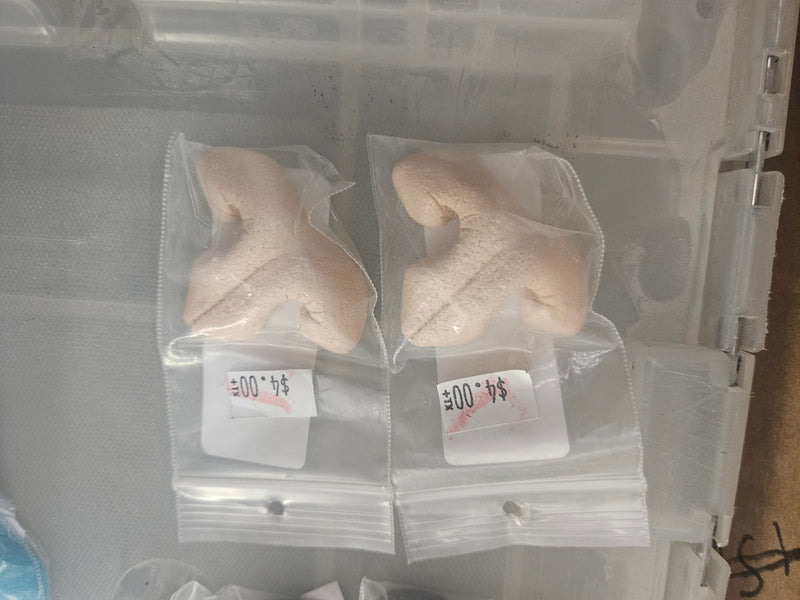 Ready to ship - Heavy Discount Item: Plastic Realistic Medium Feline Nose