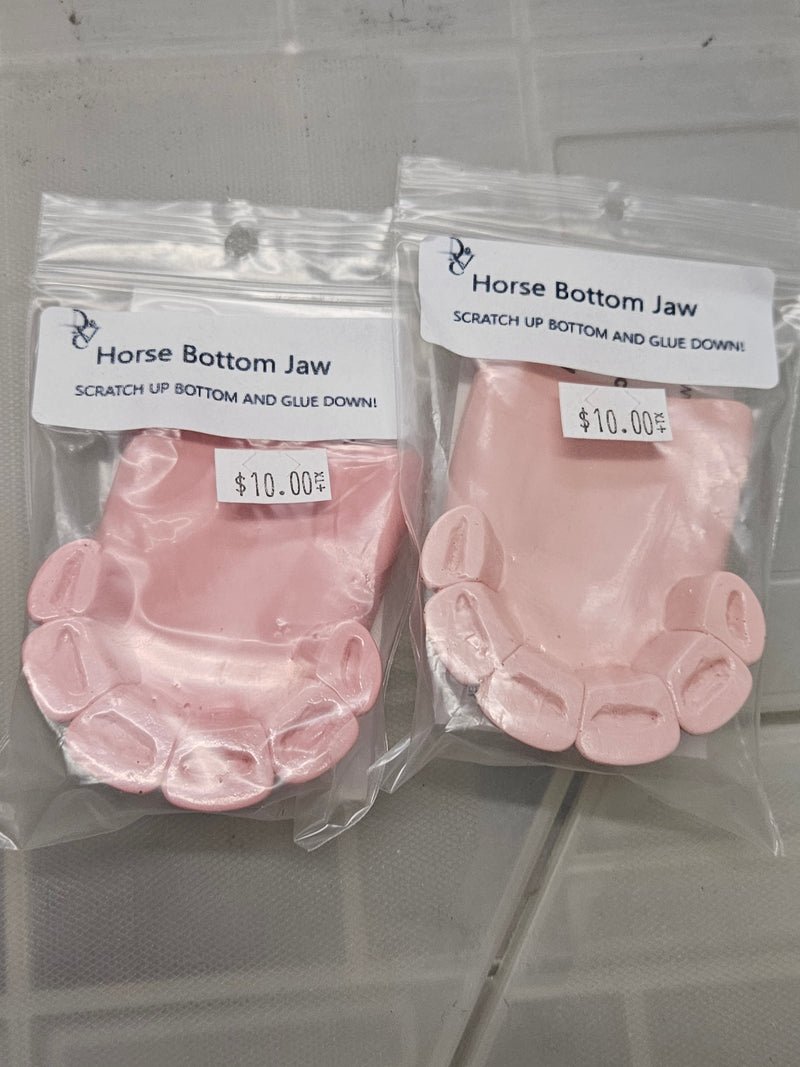 Ready to Ship: Horse Bottom Jaw
