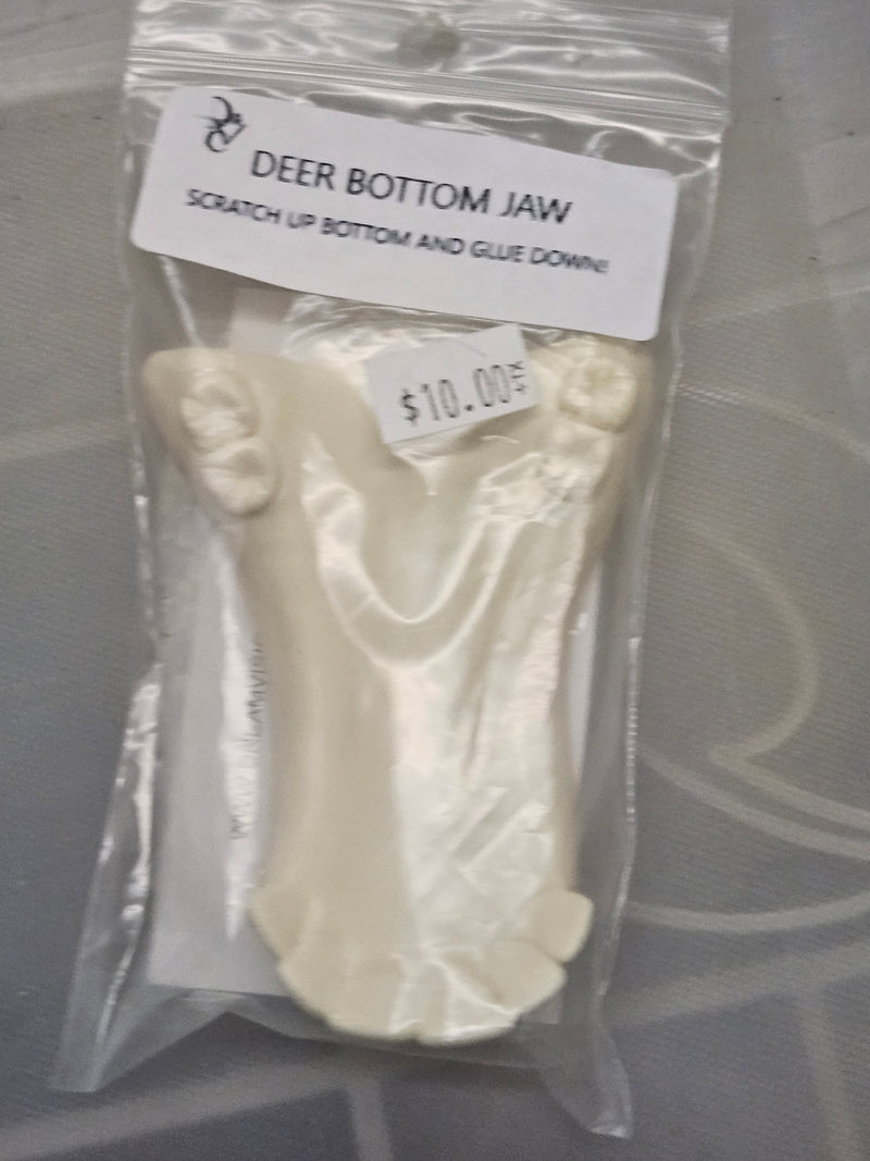 Ready to Ship - Heavy Discount Item: Old Style Deer Bottom Jaw