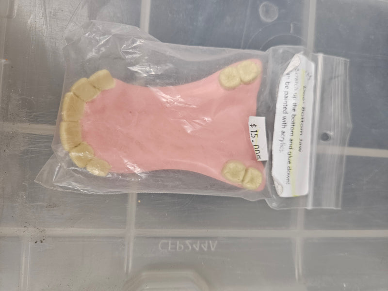 Ready to Ship - Heavy Discount Item: Old Style Deer Bottom Jaw