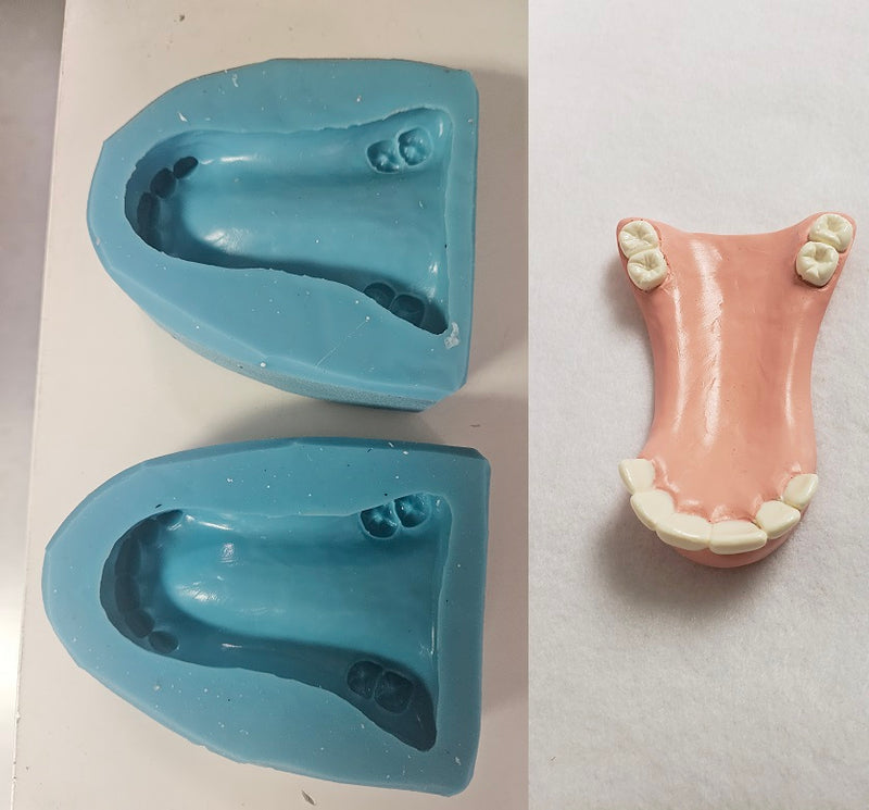 Ready to Ship: Molds