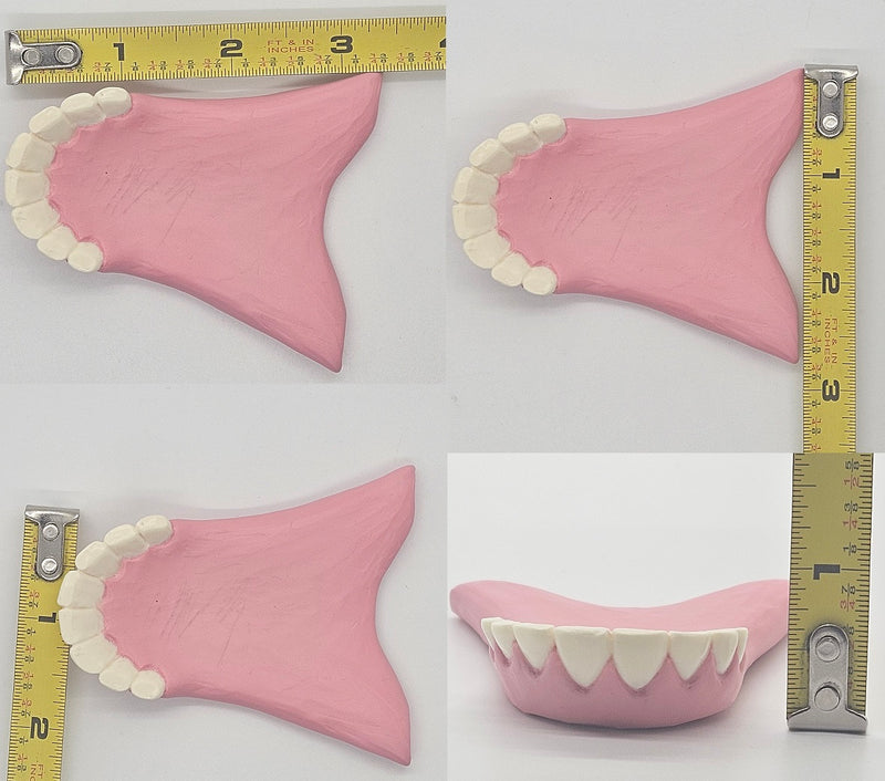 Basic Goat Bottom Jaw