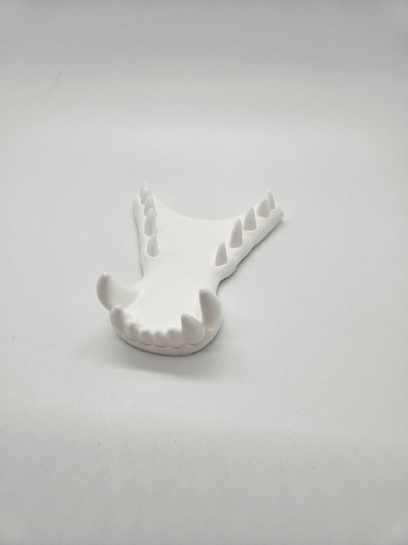 Opaque Single Color Dragon Jawset