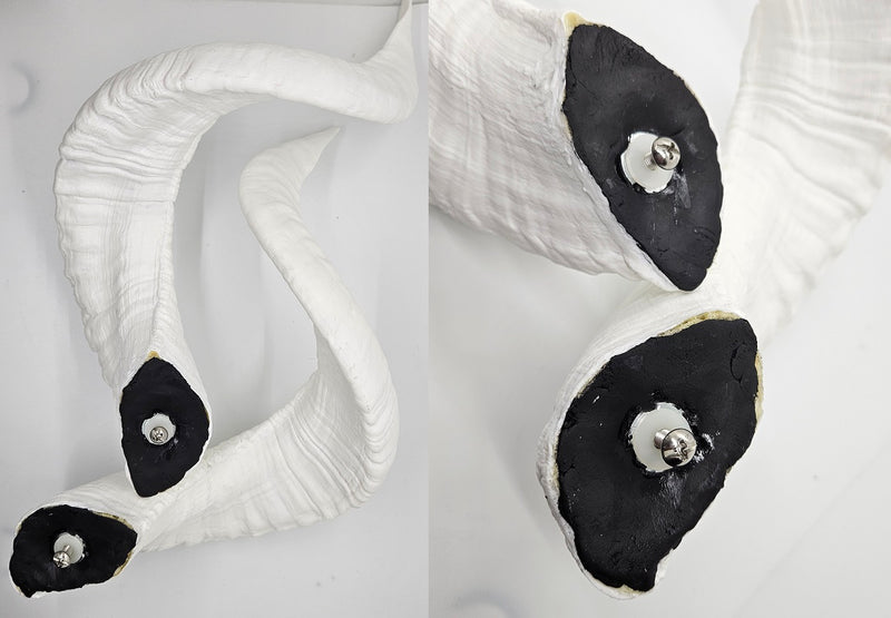 Plastic Glow in the Dark Corsican Ram Horns