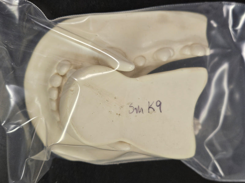 Ready to Ship: Small K9 Jawset