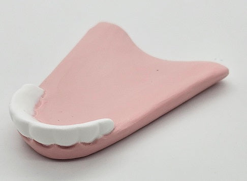 Basic Doe Bottom Jaw