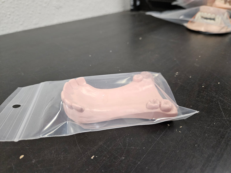 Ready to Ship - Heavy Discount Item: Old Style Deer Bottom Jaw