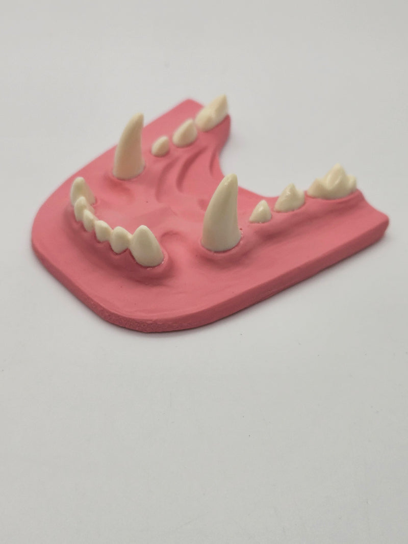 Basic Colored Fox Jawset