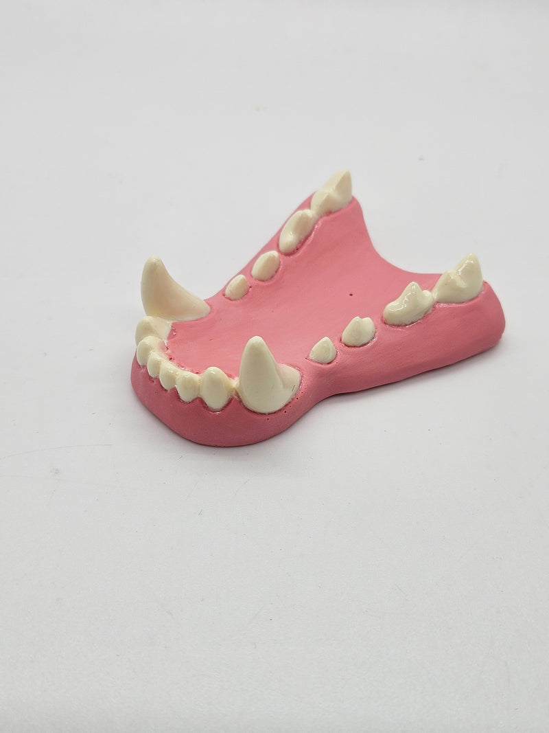 Basic Colored Fox Jawset