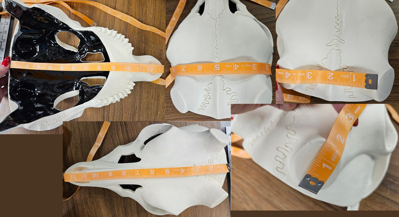 Glow in the Dark Skeletal Deer Upper Jaw Mask