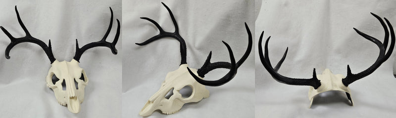 Skeletal Deer Upper Jaw Mask
