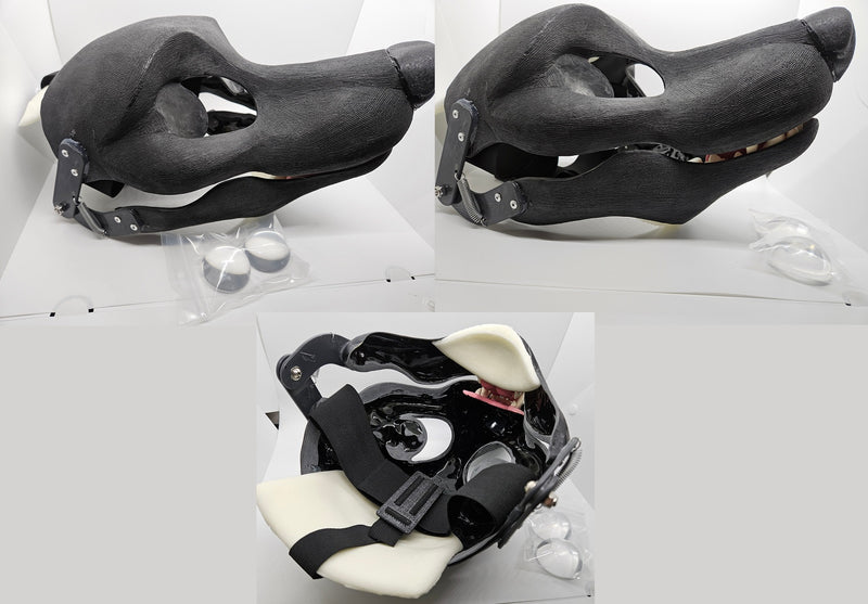 Canine Standard Resin Kit