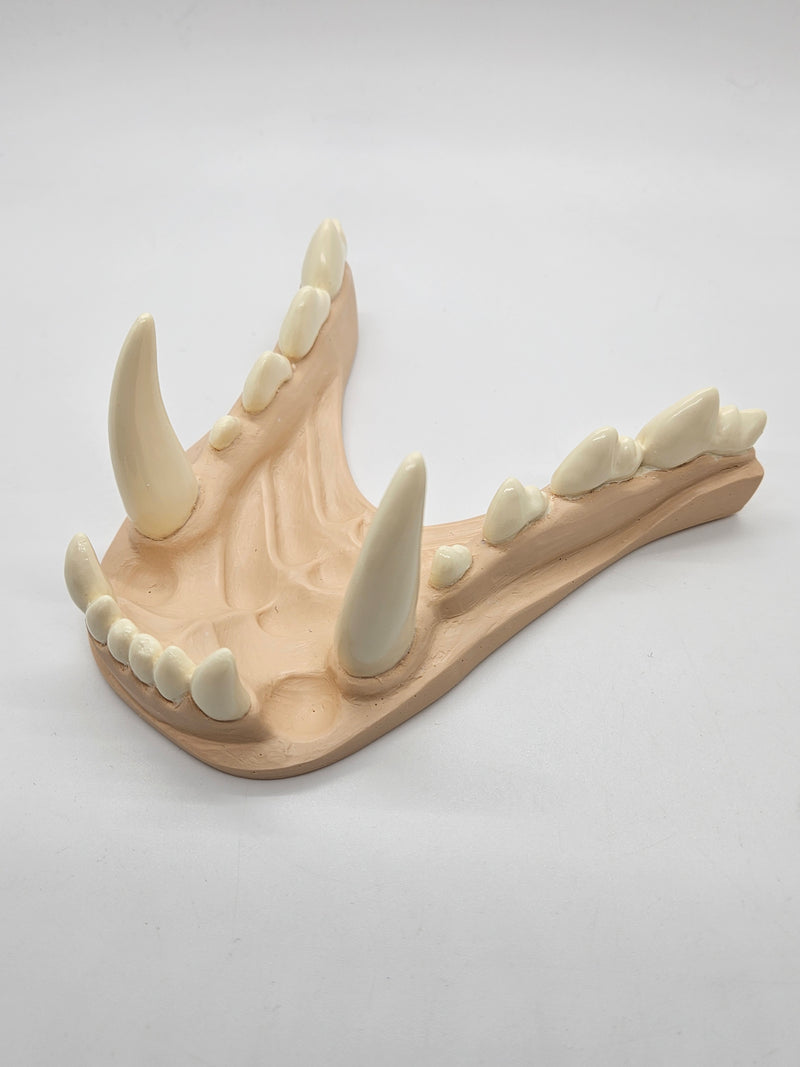 Basic Werewolf Jawset