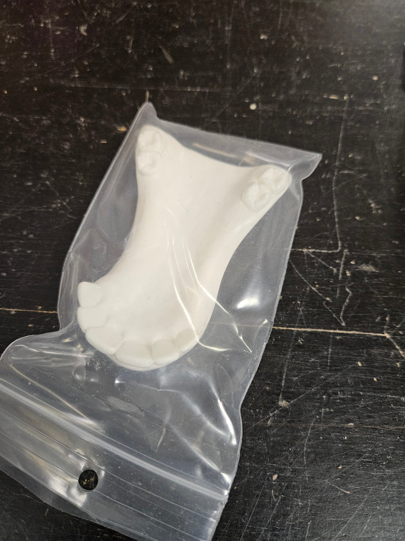 Ready to Ship - Heavy Discount Item: Old Style Deer Bottom Jaw