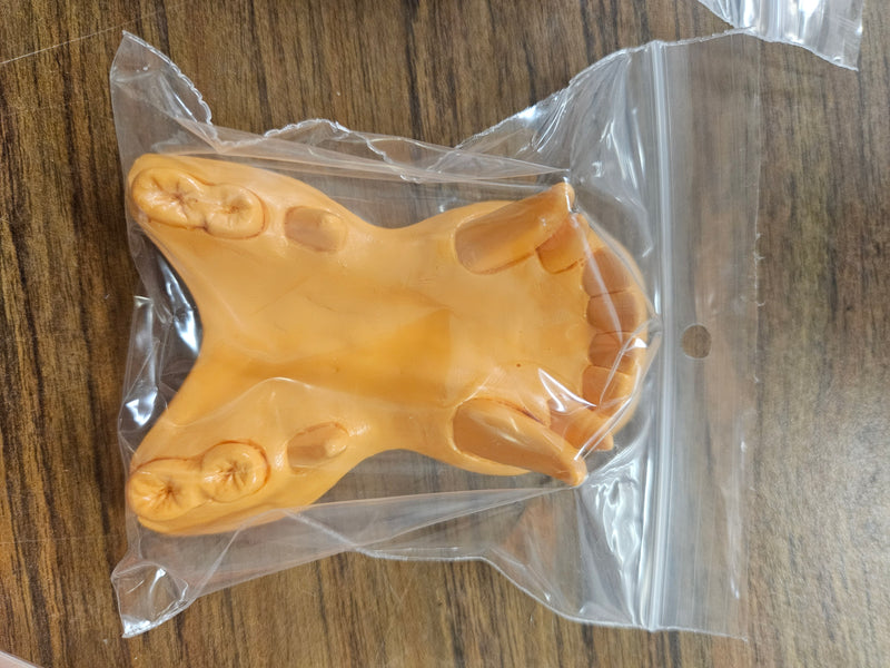 Ready to Ship: Toony Dragon Jawset