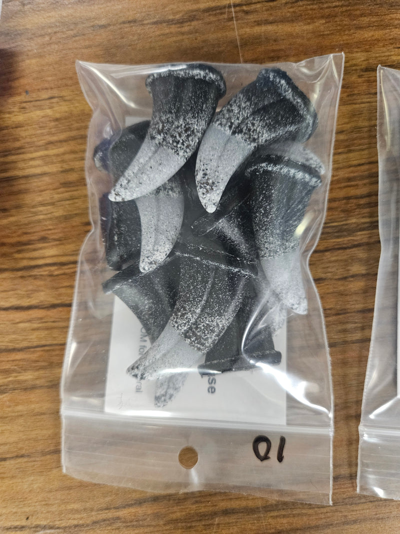 Ready to ship: Mini Raptor Claw Packs