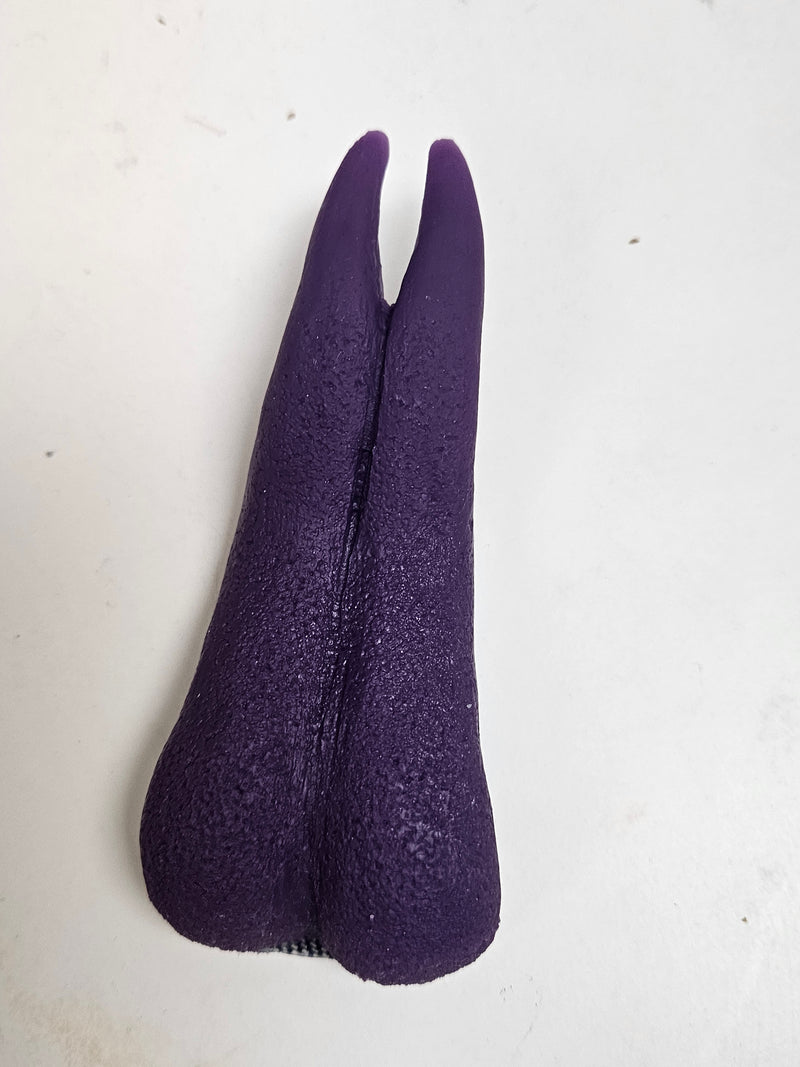 Ready to Ship:  Forked Dragon Tongue