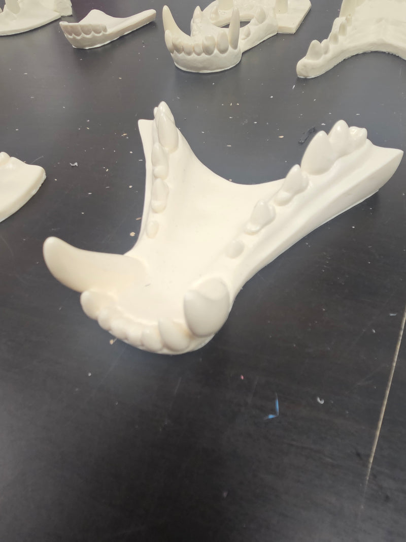 Discounted Item: Jawset Parts