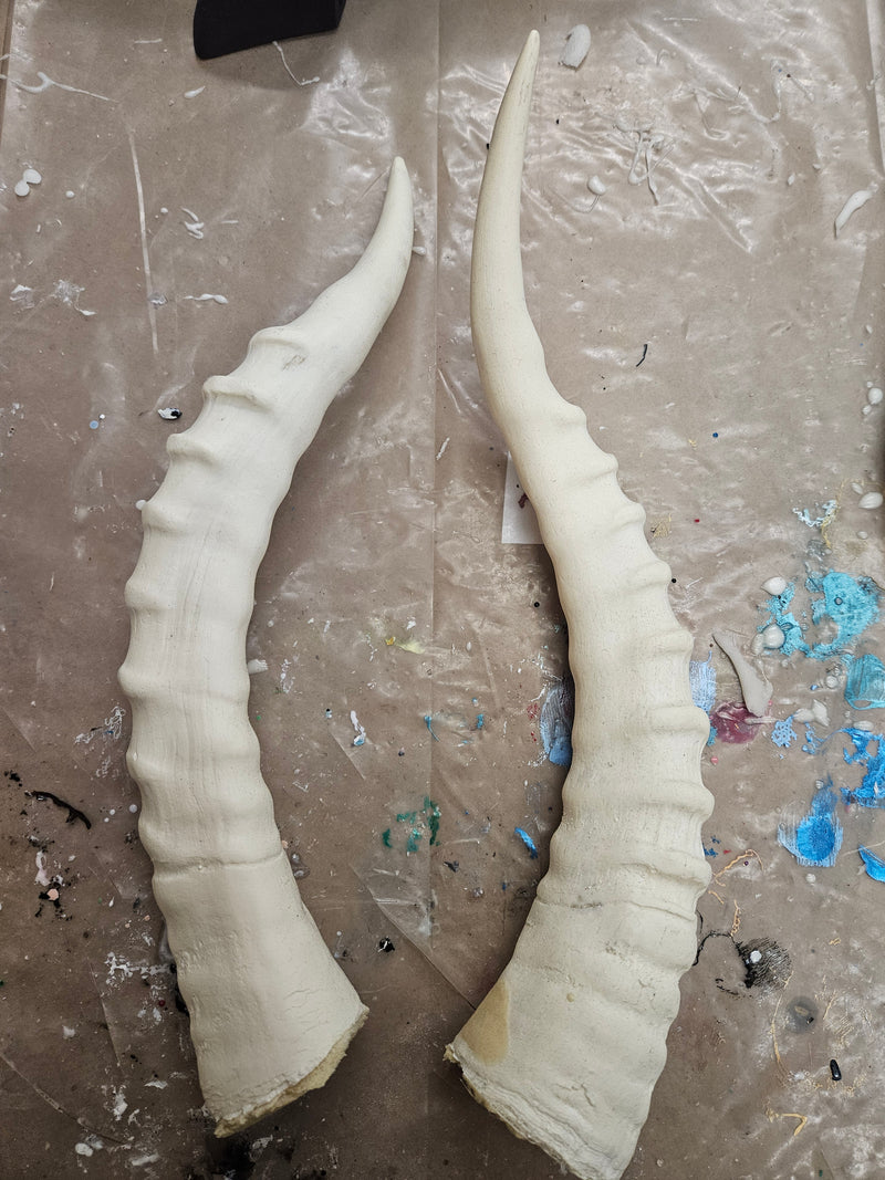 Discounted Item: Horn/Antler sets