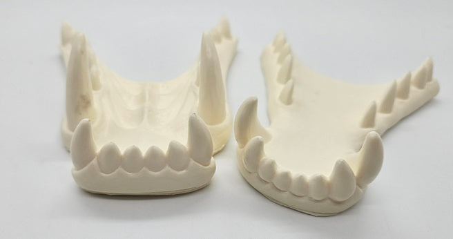 Opaque Single Color Dragon Jawset