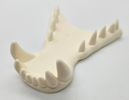 Opaque Single Color Dragon Jawset