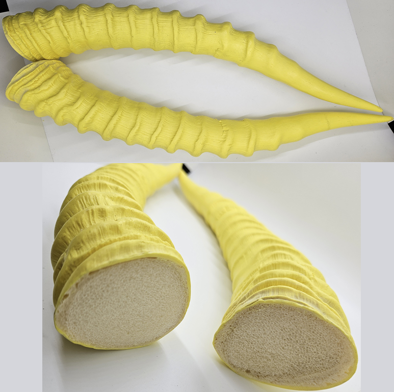 Plastic Opaque Upright Impala Antelope Horns