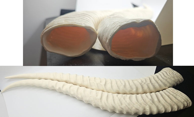 Plastic Opaque Sable Antelope Horns