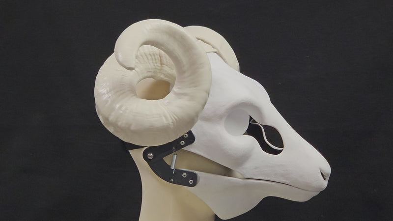 Plastic Opaque Double Curl Ram Horns