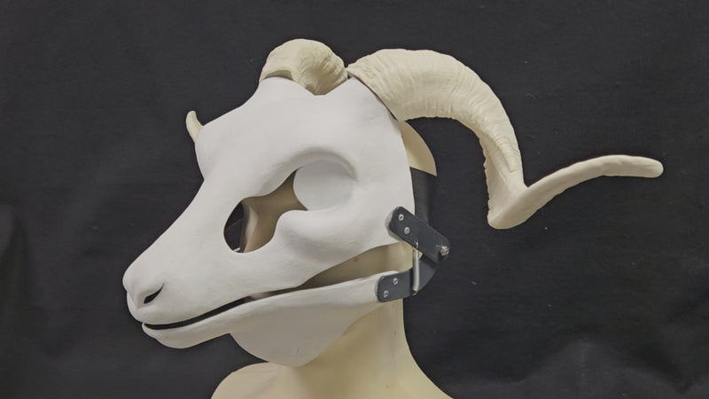 Plastic Opaque Corsican Ram Horns
