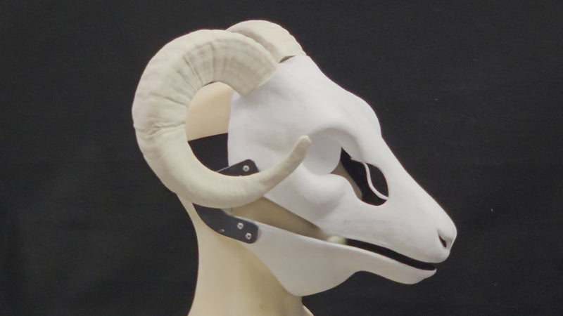 Plastic Opaque Single Curl Ram Horns