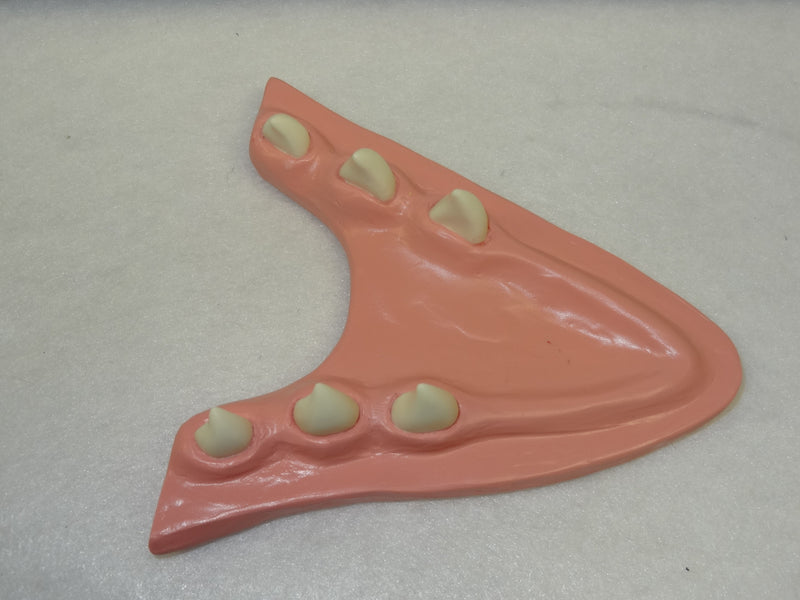 Basic Northern Sergal Jawset