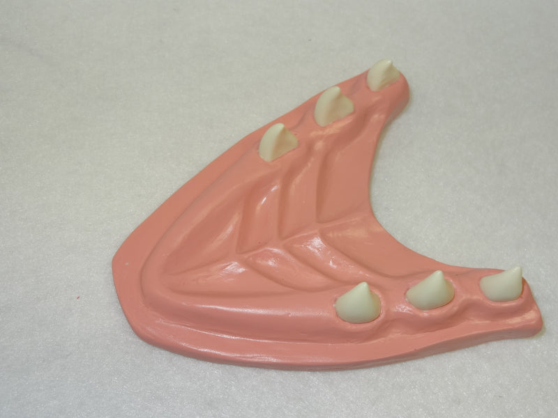 Basic Northern Sergal Jawset