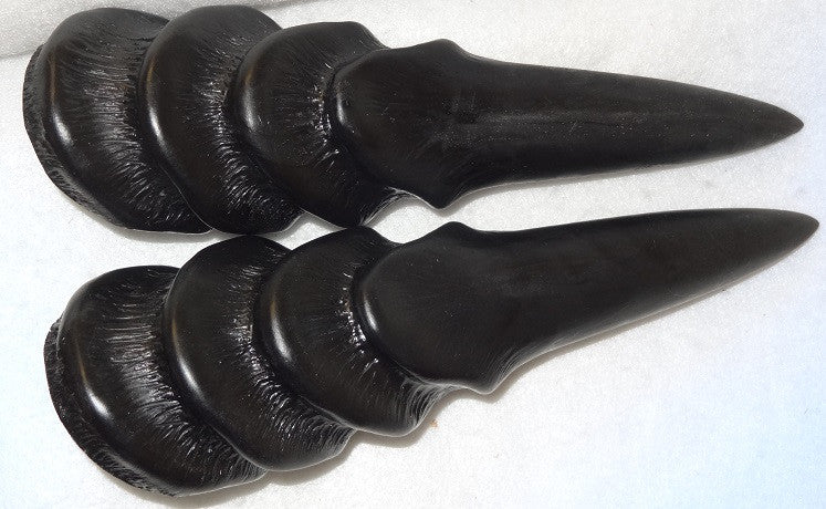 Plastic Opaque Angled Rigid Horns