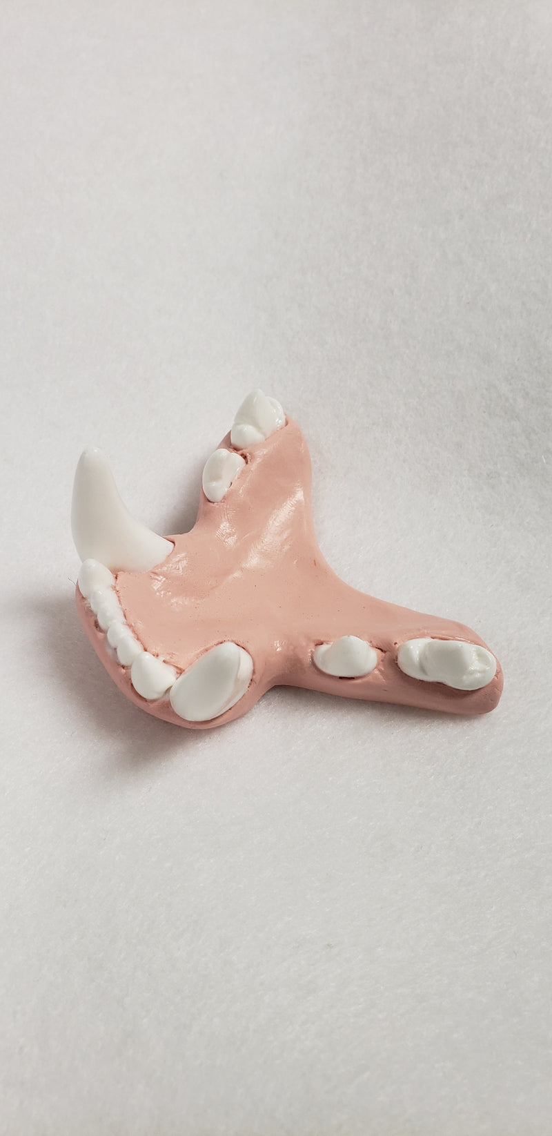 Basic Big Cat Jawset