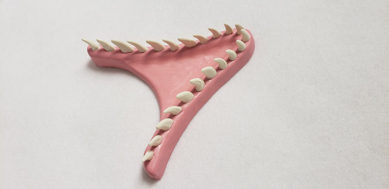 Basic JW Velociraptor Jawset