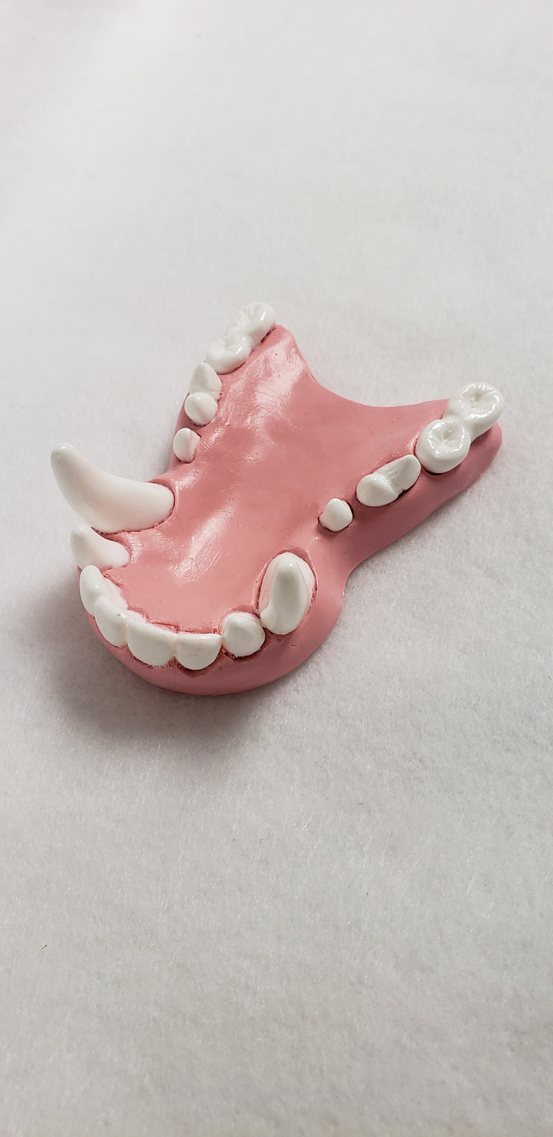 Basic Colored Toony K9 Jawset