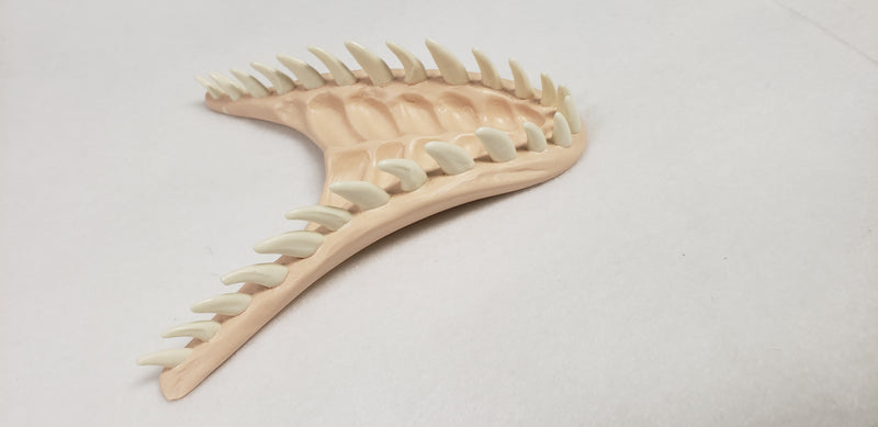 Basic JW Velociraptor Jawset