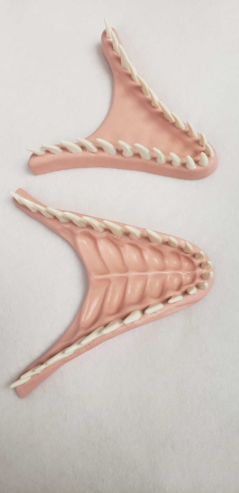 Basic JW Velociraptor Jawset