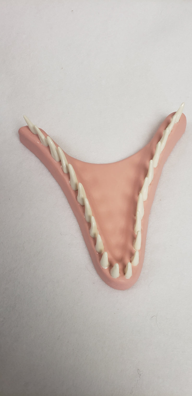 Basic JW Velociraptor Jawset