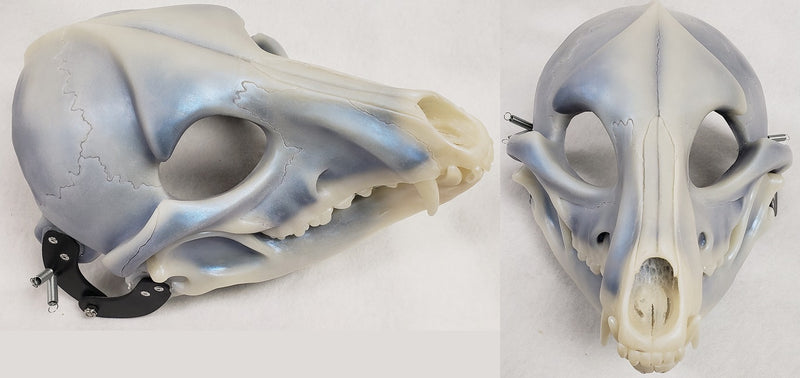 Specialty Cut and Hinged Skeletal K9 Resin Mask Blank