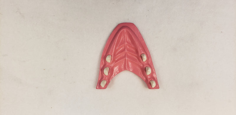 Basic Northern Sergal Jawset