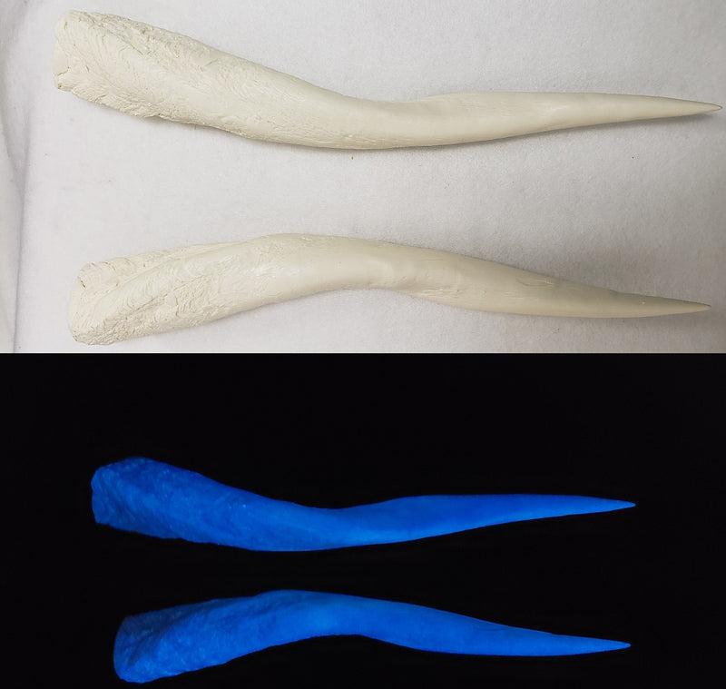 Plastic Glow in the Dark Bushbok Antelope Horns