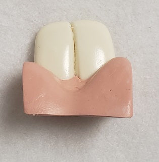 Basic Bunny Top Jawset