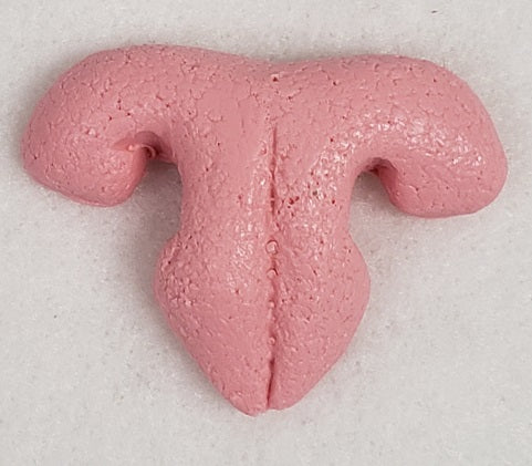 Plastic Realistic Small Feline Nose