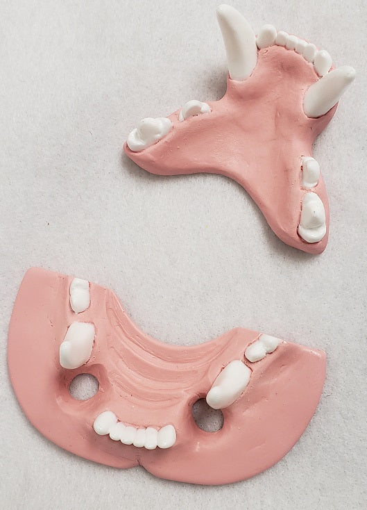 Basic Big Cat Jawset