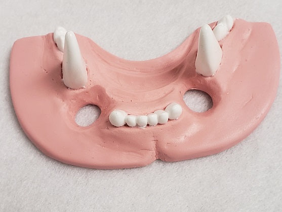 Basic Big Cat Jawset